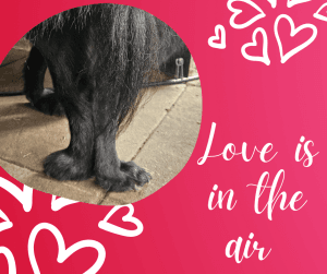 valentine sale (Facebook Post)_20250214_140901_0000